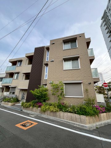 ロサ　アルウェンシス
