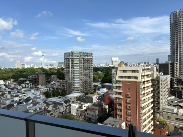 【展望】