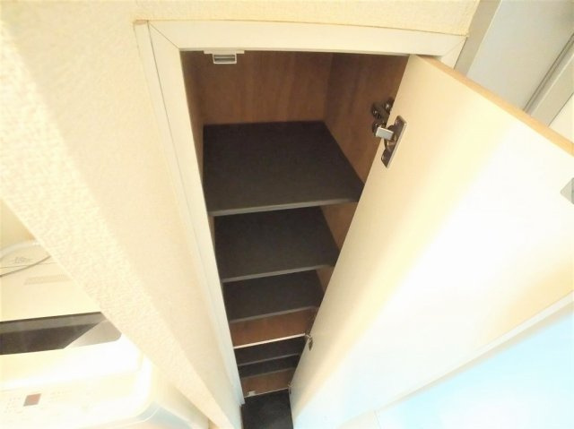 レオパレスドリームのその他|シューズボックス