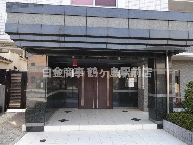 エバーグリーン若葉