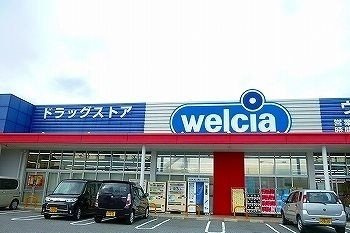 【周辺】 | セレノ・ビエント | ウエルシア姫路大津店まで1100m