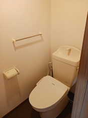 コンパクトで使いやすいトイレです