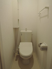 落ち着いた色調のトイレです