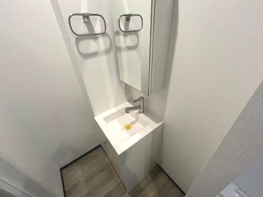 北区上中里３丁目の賃貸マンションの洗面所