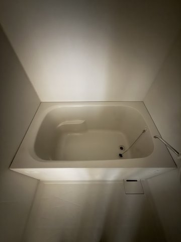 グランシャリオ山本通Ⅲの浴室