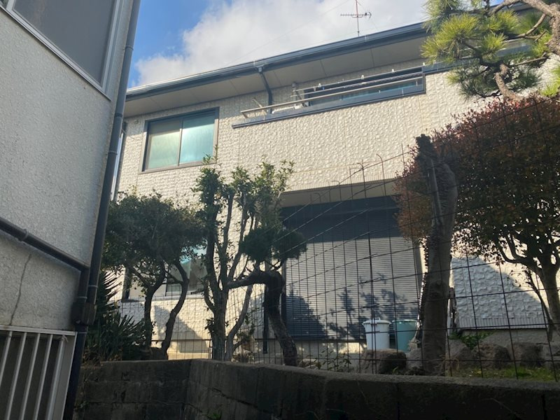 ねむの木の展望