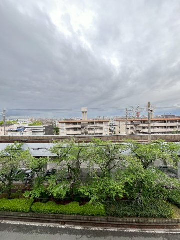 トムズハウスの展望