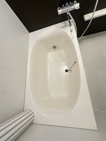 ラフィーネ昭南の浴室