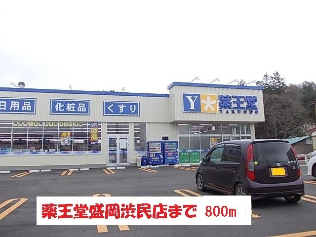ベルアルモニーⅡの周辺|薬王堂盛岡渋民店まで800m