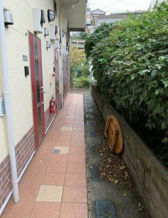 サザンみなとみらい御所山の庭