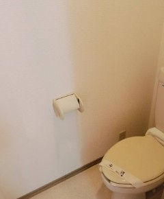 アベニュー弐番舘のトイレ