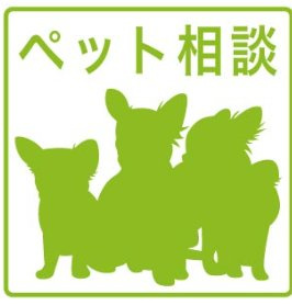 【その他】 | パークアクシス横浜伊勢佐⽊町通り