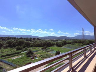 【展望】 | ネバーランド西京極