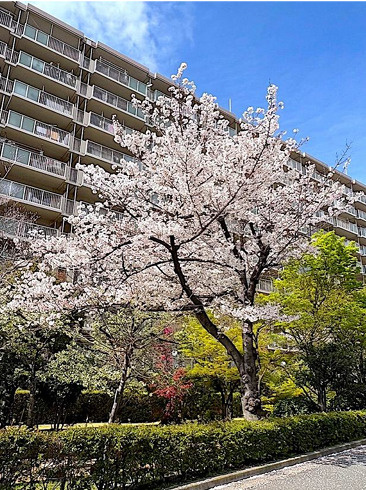 レックスタウン新高壱号館の外観