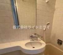 日神パレステージ御茶ノ水の洗面所
