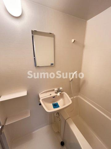 サンテミリオン恵比寿の洗面所|洗面所です