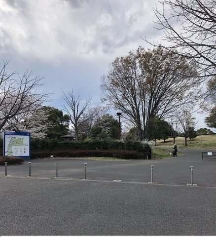 【周辺】 | パークハイツ | 昭和記念公園まで1800m