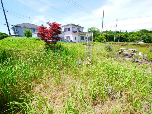大網白里市細草　中古戸建の庭|敷地約142坪 ３LDK ドックランや家庭菜園・BBQが可能です。