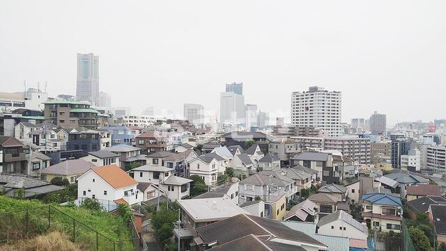 ヴェレーナグラン横浜野毛山公園の展望