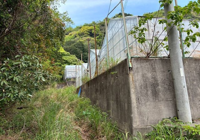 伊東市富戸　城ケ崎2万坪の外観
