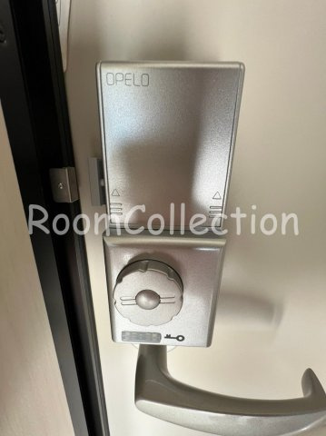 杉並区和泉１丁目のアパート