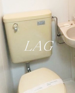 【トイレ】 | 相模大野ダイカンプラザＣｉｔｙ | トイレです。