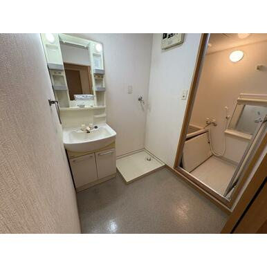 上益城郡嘉島町大字鯰の賃貸マンションの独立洗面台
