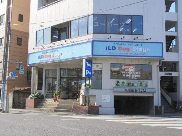 ＦＥＬＳＥＮ　フェルゼンのその他|ＩＬＤ・ＤＯＧ・ＳＴＡＧＥ