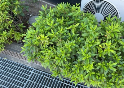 【庭】 | クオンタム南町田 | 物件によっては、入居者が個人的に使用できる専用庭がついているものもあります。また、住宅の中にある土間の部分を庭と呼ぶこともあります。庭の用途は住む人によって変わり、それによってデザインもさまざまです。