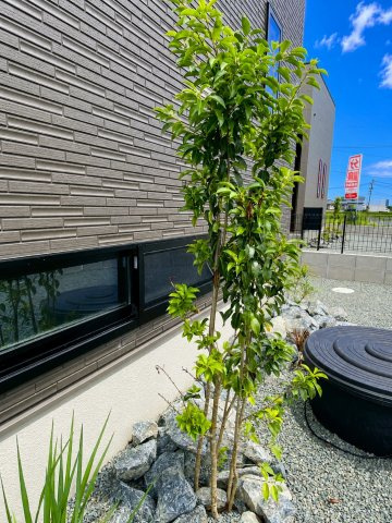 タマタウン御幸木部Ⅲ／南区御幸木部3丁目／1号棟の外観
