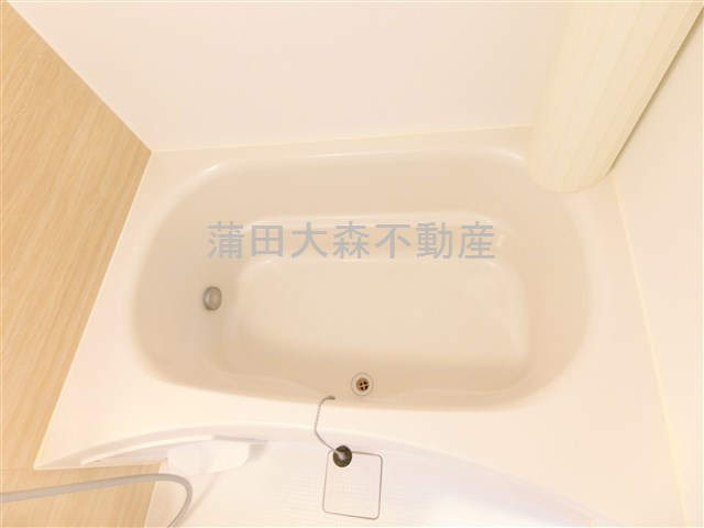 ドゥーエ蒲田南の浴室