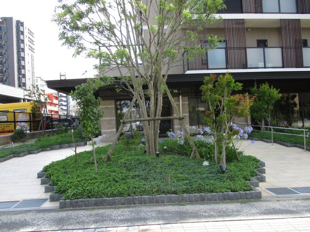 サンパーク城野駅前EXIA（A-4）のエントランス