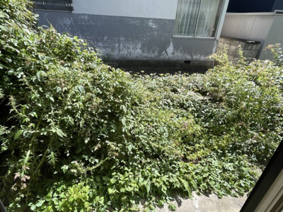 【庭】 | 佃2丁目貸家