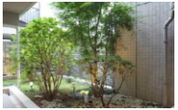 イニシアイオ武蔵小山のその他共用部分