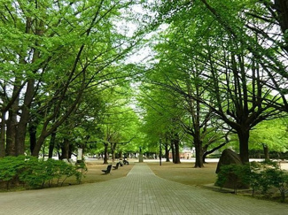【周辺】 | 板橋区上板橋3丁目　新築戸建　11190万円 | 板橋平和公園