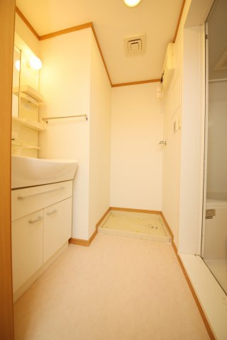 CottonHillsのその他