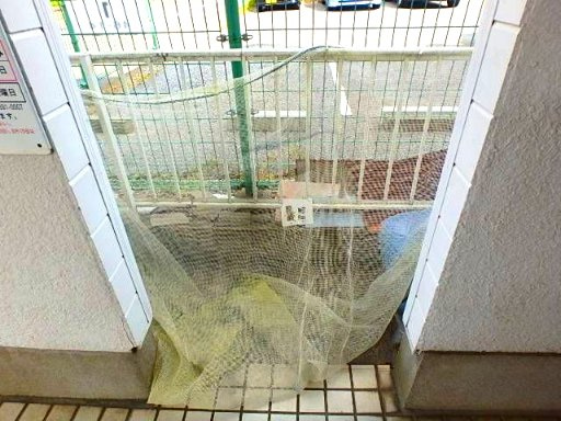 ジュネパレス新松戸第４２のその他共用部分