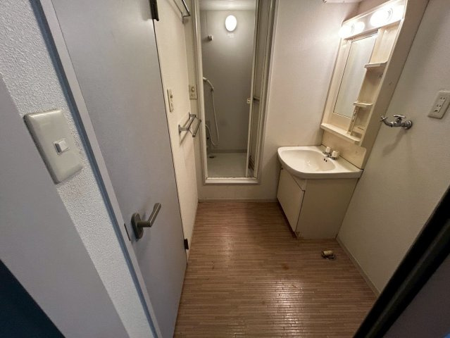 メゾンパストラルIIの洗面所