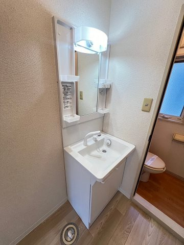 たんぽぽハイツⅡの洗面所