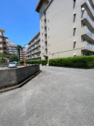 セレッソの周辺