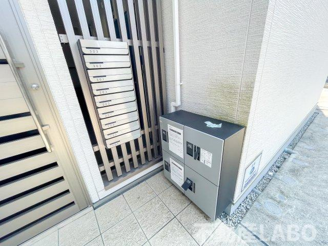 F asecia vagueのその他