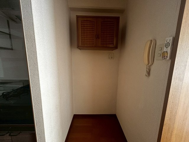 マルイハイビスカスのその他