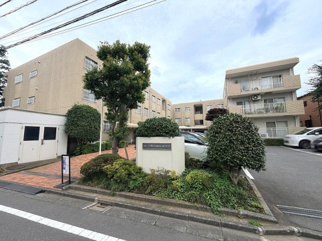 【外観】 | コープ野村練馬氷川台　（成増店） | 複数路線利用可の為、通勤・通学・お買い物等に便利な立地