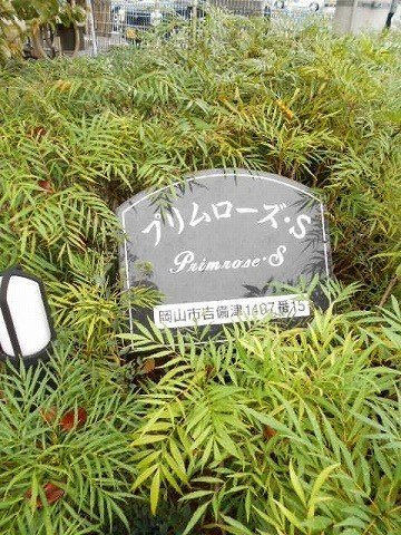 プリムローズ・Ｓのその他共用部分