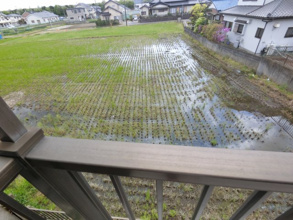 【展望】