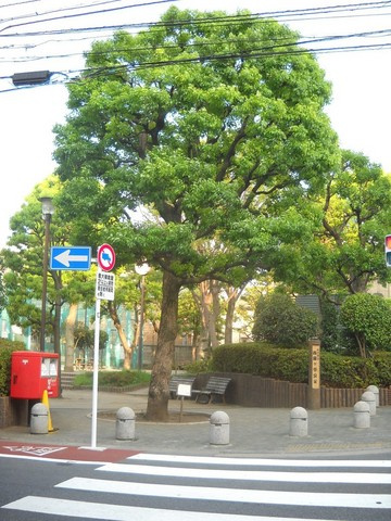 ＭＹ　ＦＬＡＴＳ　ＷＥＳＴのその他|西霧ケ谷公園