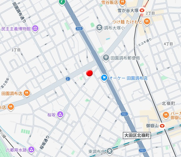 オーロヴェルデ田園調布のその他