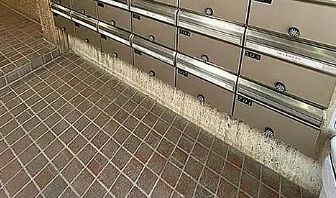 成子坂ハイツのその他共用部分