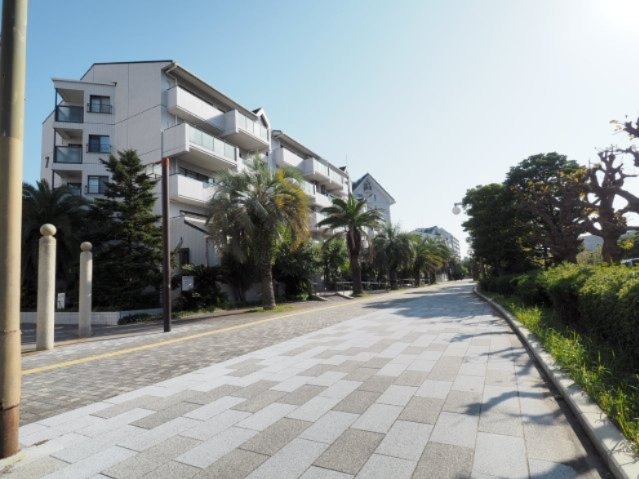 マンションの敷地内