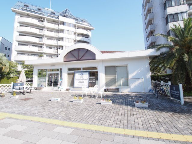 マンションの敷地内